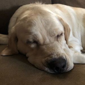 Meet your Posher, Haley